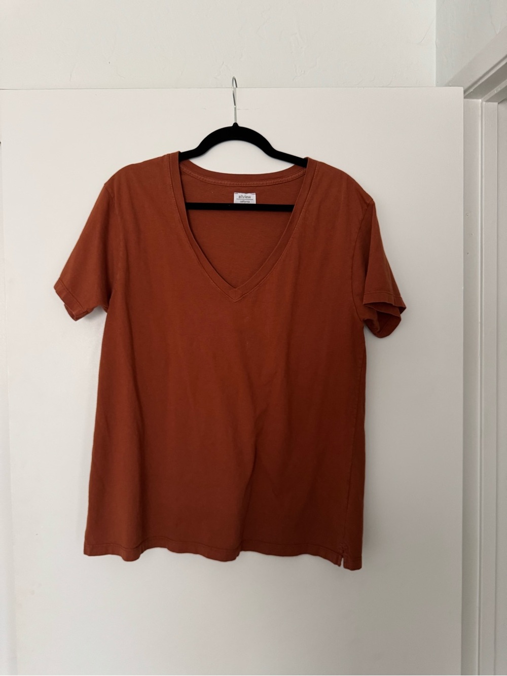 Classic V-Neck Short Sleeve Tee in Rust